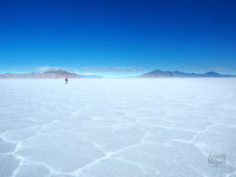 Bonneville Salt Flats