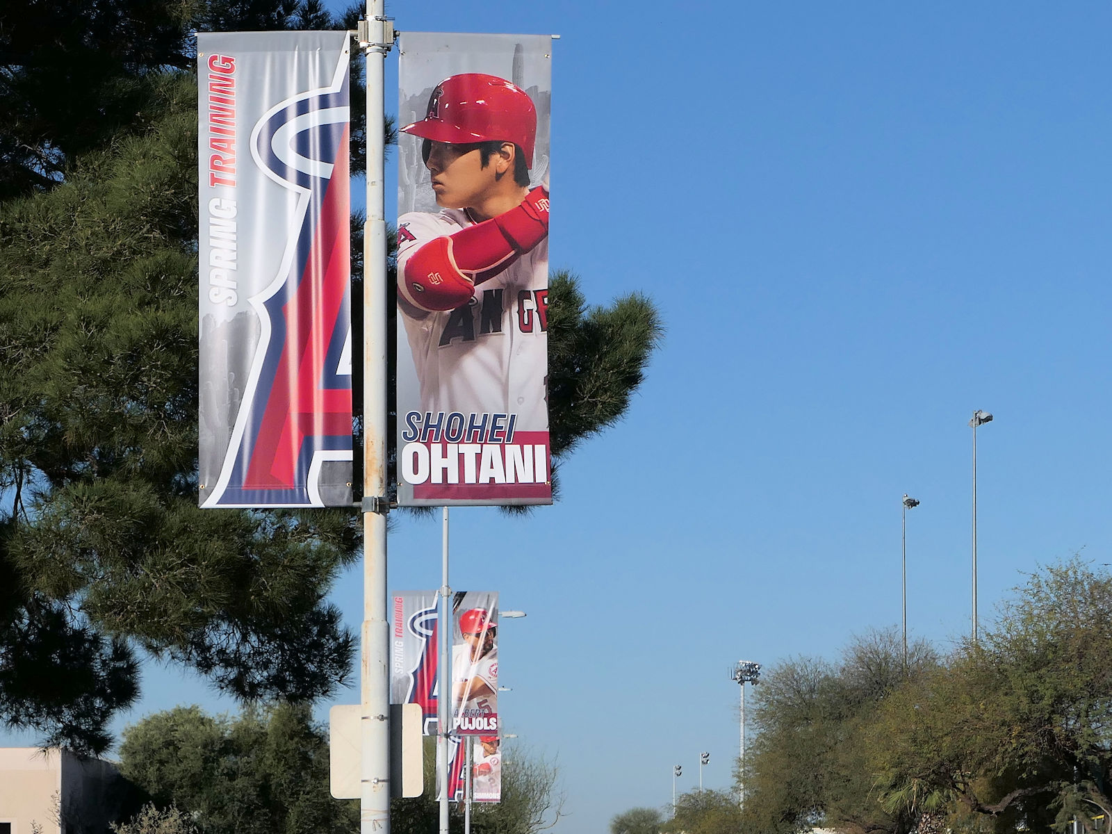 大谷 イチローなどに会えるメジャーリーグ スプリングトレーニングに行ってみよう