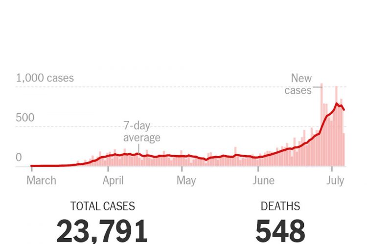 ネバダ州の日々の新型コロナ新規感染者数の推移。TOTAL CASES は通算の感染者数、DEATHS は通算の死者数。（NY Times より）