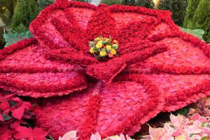 生の花による装飾で知られるベラージオホテルの人気アトラクション「Conservatory & Botanical Gardens」(室内植物園)。
