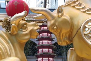 今年の春節ディスプレイの中心は２頭の丑（うし）。