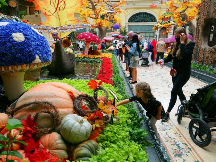 ベラージオホテルの室内植物園「Conservatory & Botanical Garden」