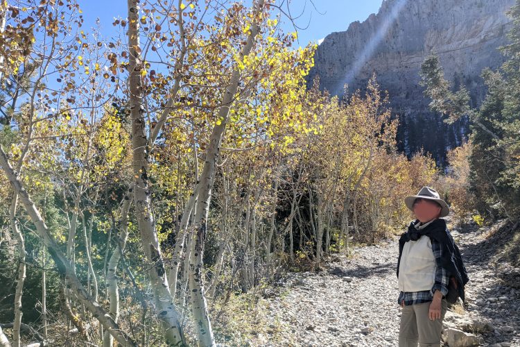 チャールストン山での紅葉。ラスベガス近郊での秋らしい風景はこの程度まで。