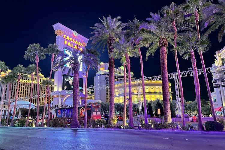 ラスベガスの中心街。ヤシの木にクリスマス装飾のライトなどは付いていない。（2023年12月11日に撮影）