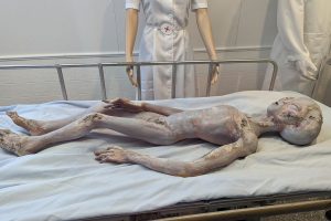 墜落した UFO から回収したとされる宇宙人。(ニューメキシコ州のロズウェルにある UFO博物館。筆者撮影)