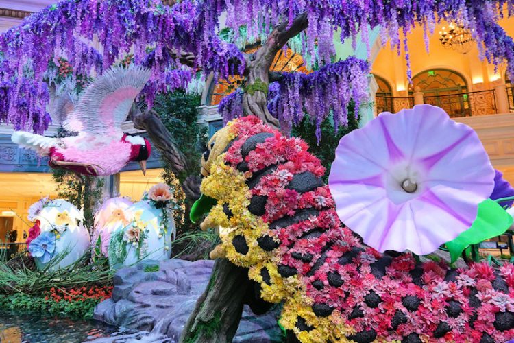 ラスベガスの高級カジノホテル「ベラージオ」の室内植物園で、2025年春バージョンの展示がスタート。